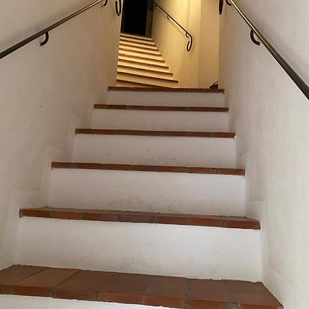 Ferienwohnung La Ginestra - Terrazza Orciatico Exterior foto